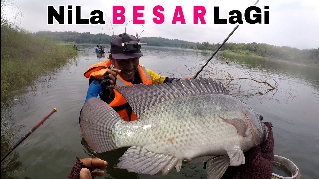NiLa BESAR.....UNDLUPnya bikin GEMES