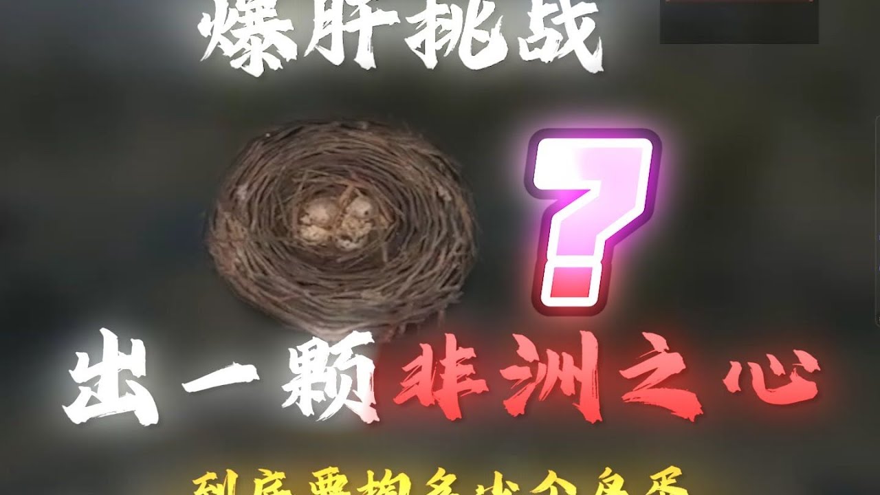 【三角洲行动爆肝挑战（第一天）】鸟蛋竟然开出非洲之星？！