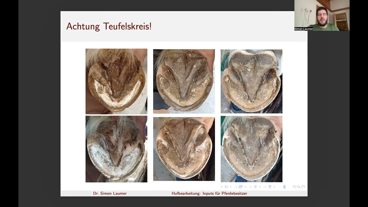 Hufbearbeitung: Inputs für Pferdebesitzer, 4.1) Werkzeuge und 4.2) Zurückhaltung