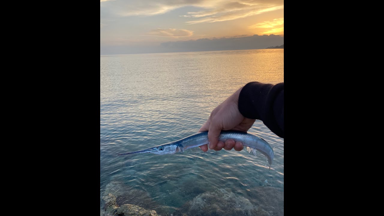 peshkim lrf. super relax Peshkatar shqiptar