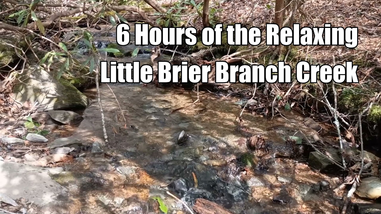 6 Hours of the Relaxing Little Brier Branch Creek