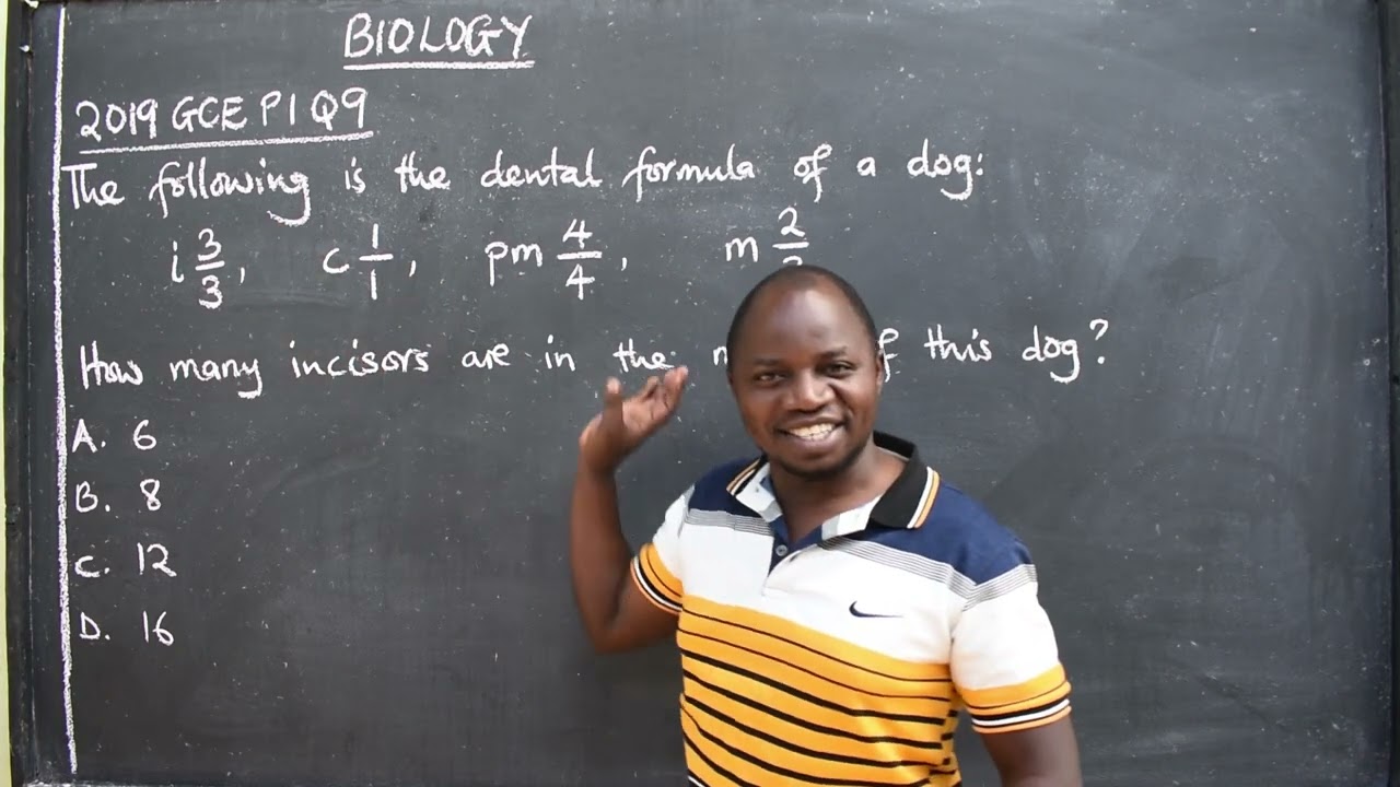 BIOLOGY   2019 GCE P1 Q9