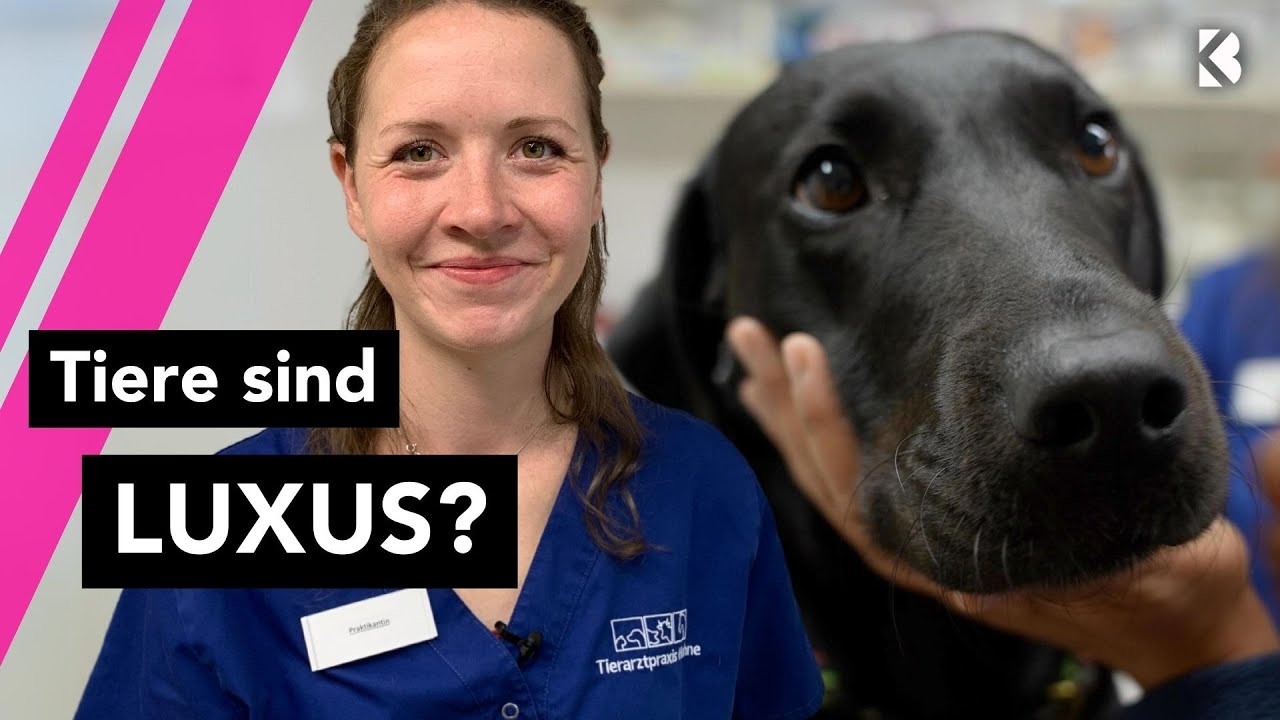 Tierarzt Alltag: Wie viel ist mir mein Haustier wert?