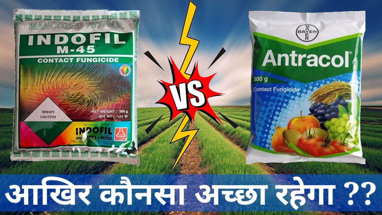 Propineb vs Mancozeb/Antracol vs M45/Who is Better/M45 Fungicide