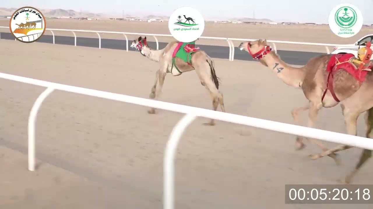 ٤/ جذاع قعدان / ٥٠٠٠م / الشبابي / مانع بن فرج وحشه الرزق