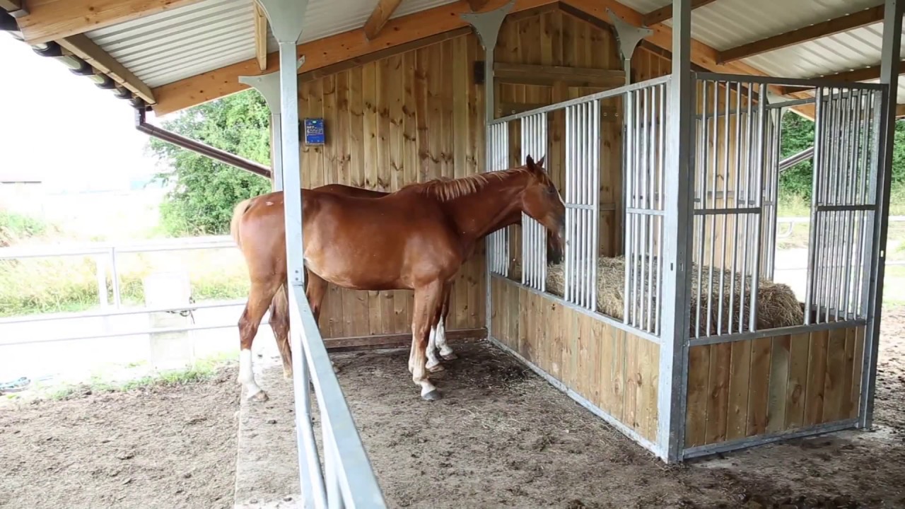 Un abri chevaux 4 en 1 ? L'Equistation de Cheval Liberté