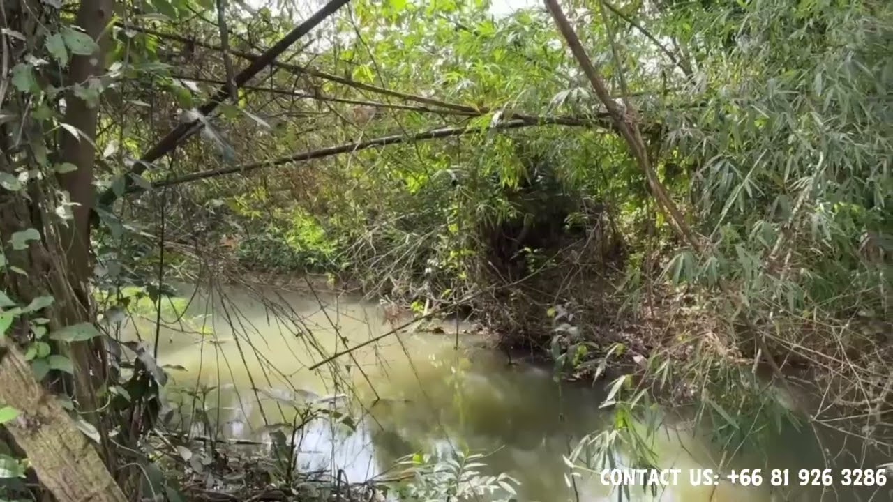 Peaceful 5 Rai of Flat Land with Beautiful Canal for Sale in Bangthong, Phangnga