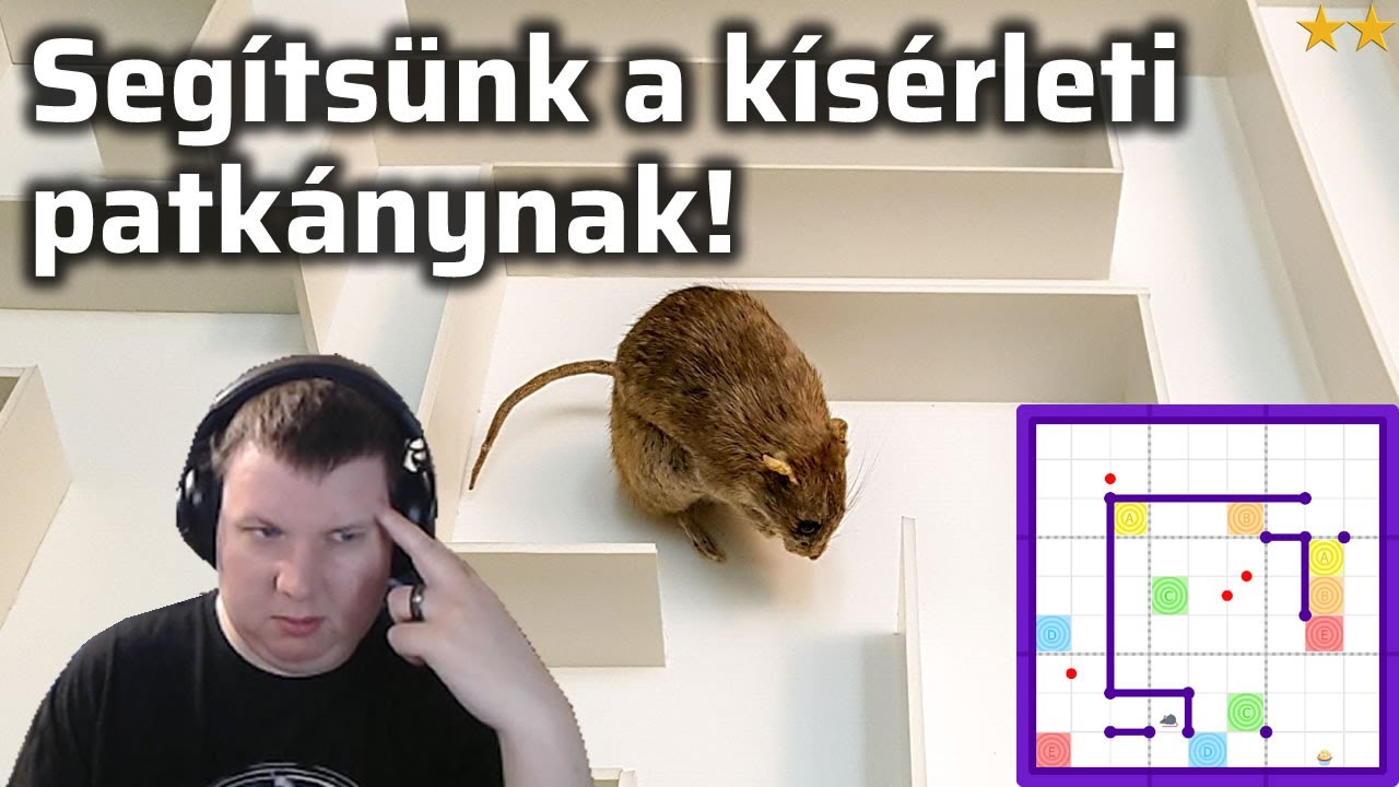 Eljut a patkány a süteményhez?