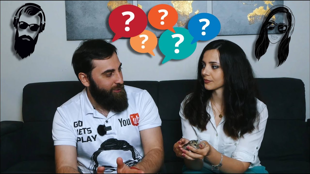 Q&A კითხვებზე პასუხი ნაწილი 3 #100k