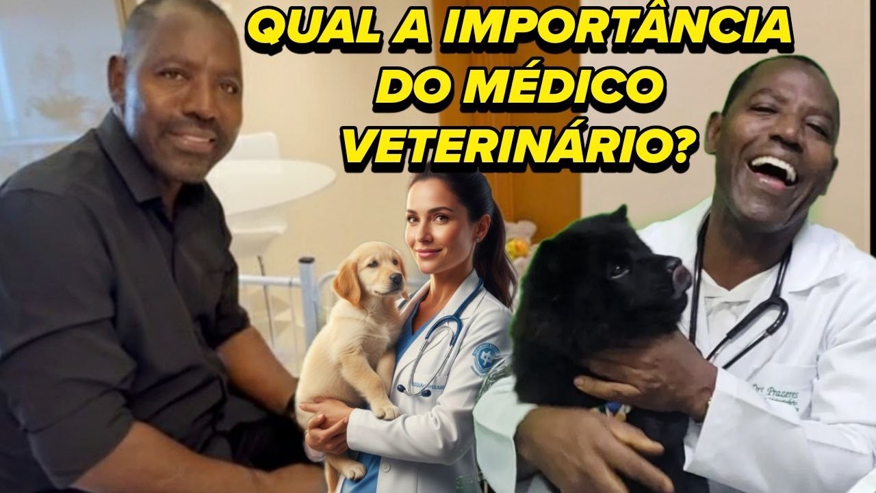 A BELEZA DA VETERINÁRIA, 