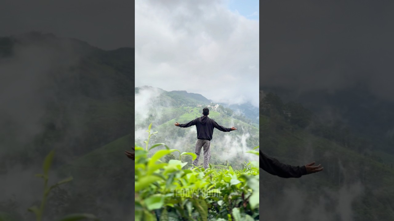 Munnar climate is in danger ⚠️ 🤯 #danger #munnar #explore #kerala #viral