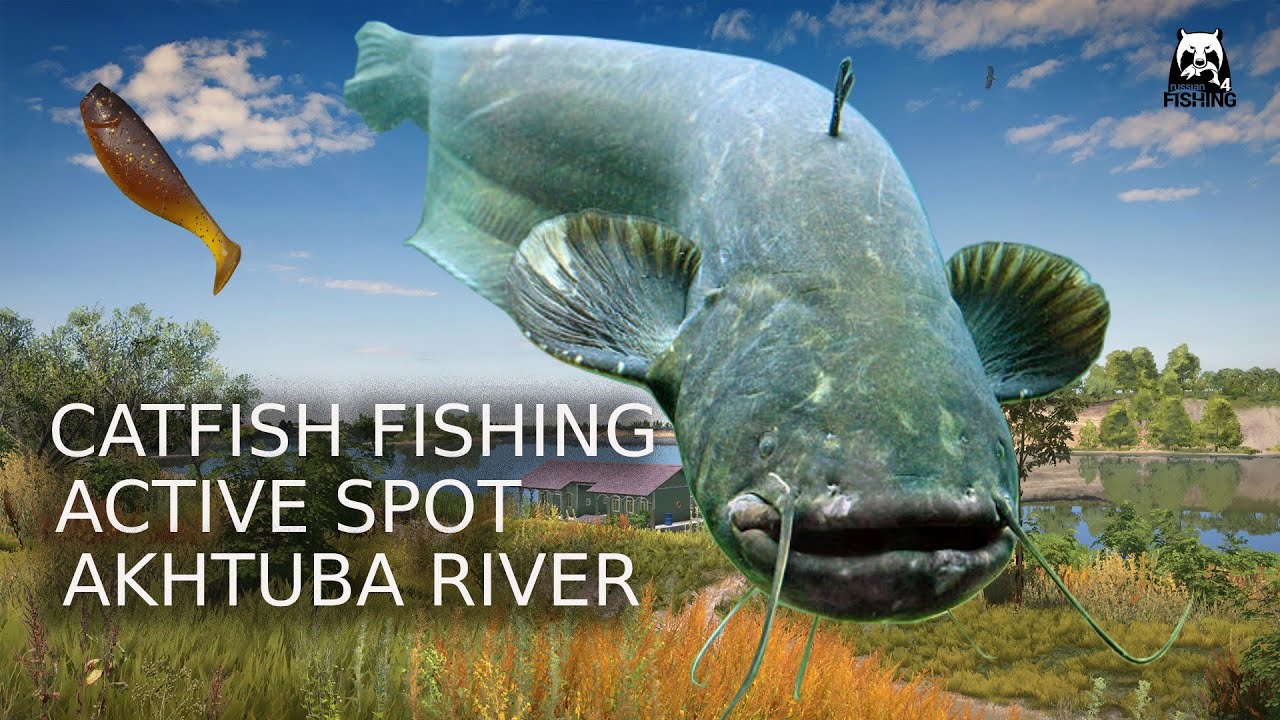 Russian Fishing 4 RF4 Akhtuba River| Active spot Catfish