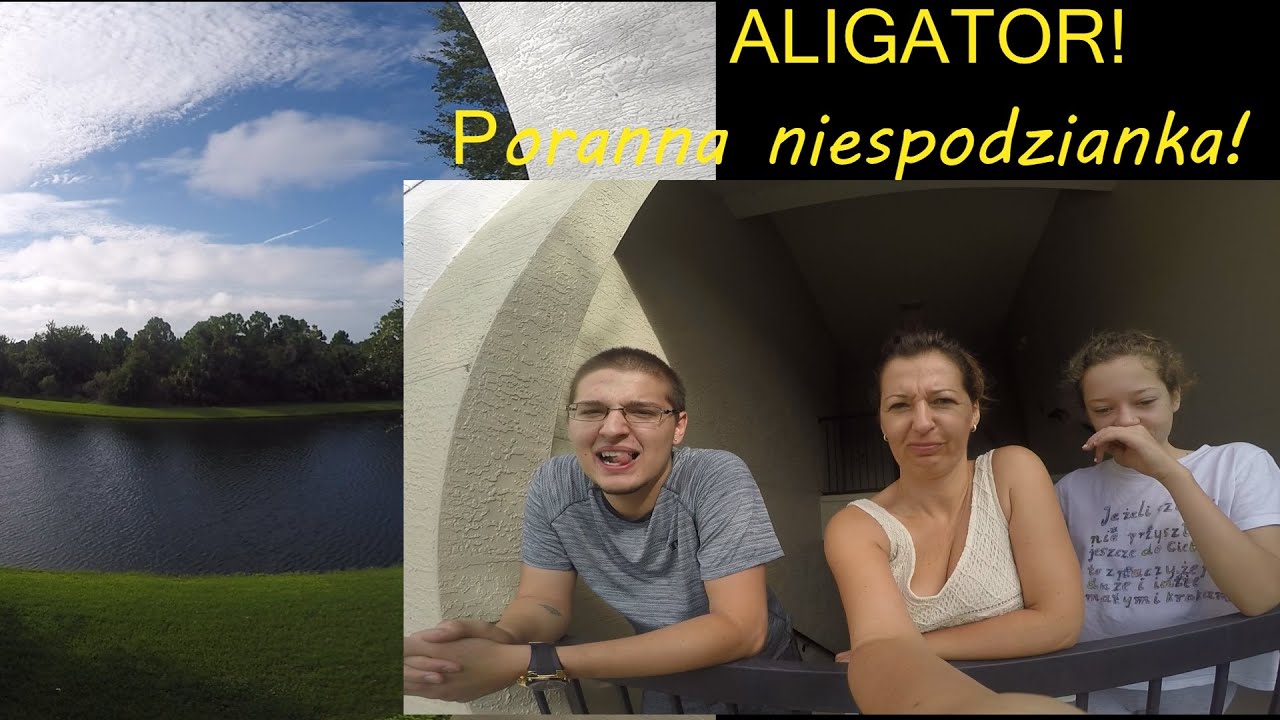 Aligator na naszym osiedlu! APARTMENT TOUR ! Życie na Florydzie/2
