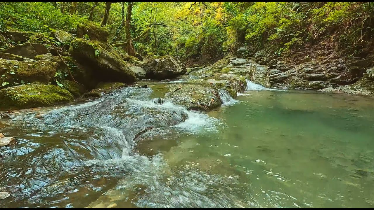 Waterfall flowing over rocks in forest💦💦