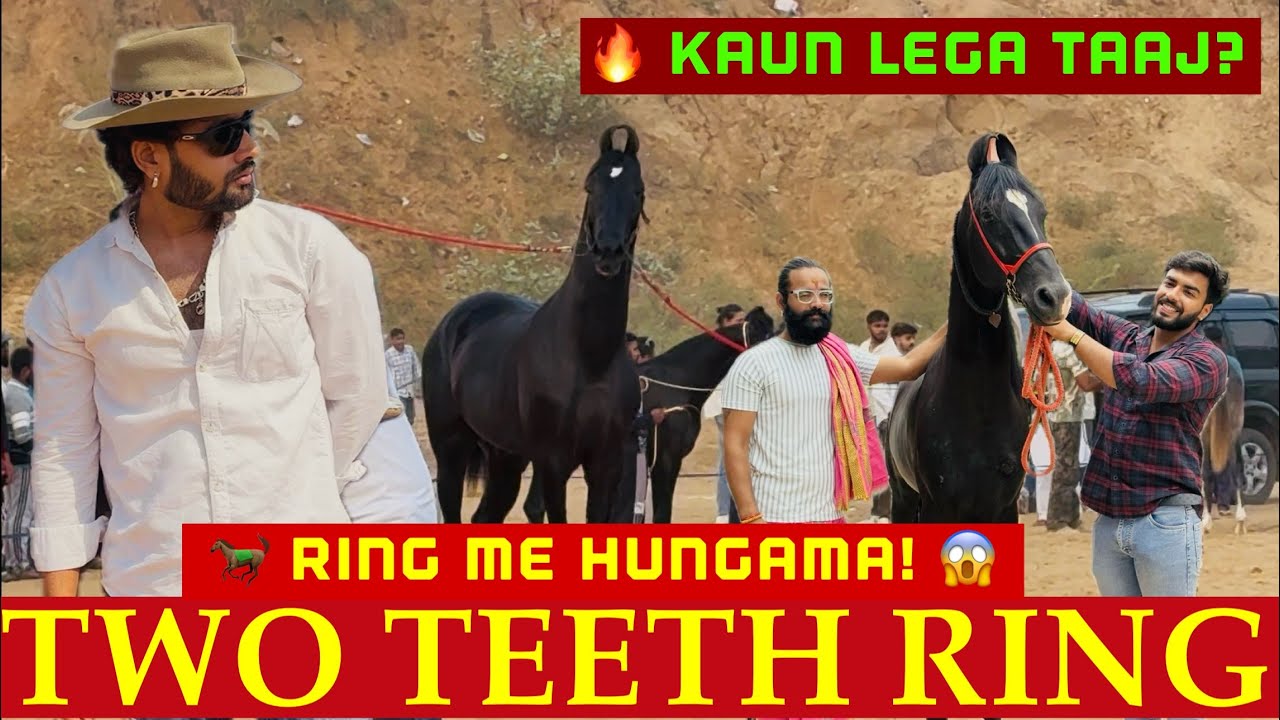 ПУШКАР МЕЛА 2025 🐎 КОЛЬЦО С ДВУМЯ ЗУБАМИ – KAUN LEGA MELE KA TAAJ? 