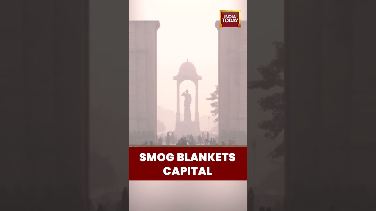 Delhi Air Pollution Update: India Gate AQI Reaches 265 | #delhiairpollution #delhiairquality