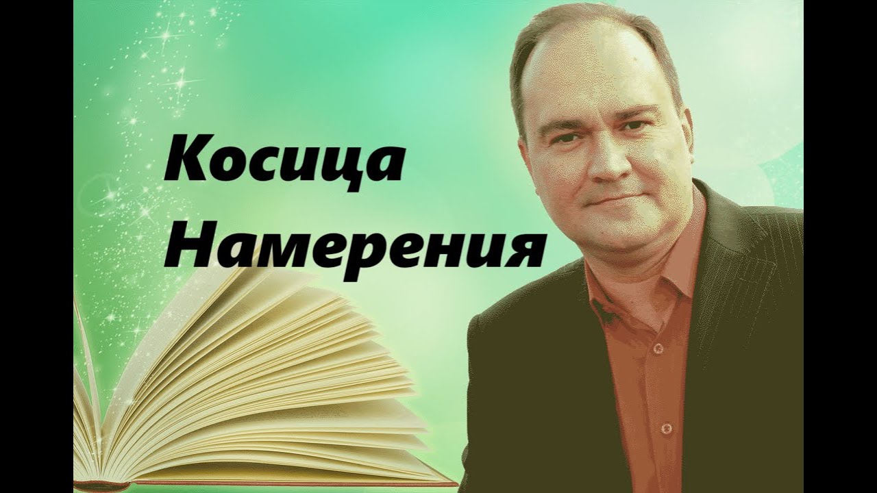 Косица Намерения. Анализ книги Вадима Зеланда «Тафти жрица».