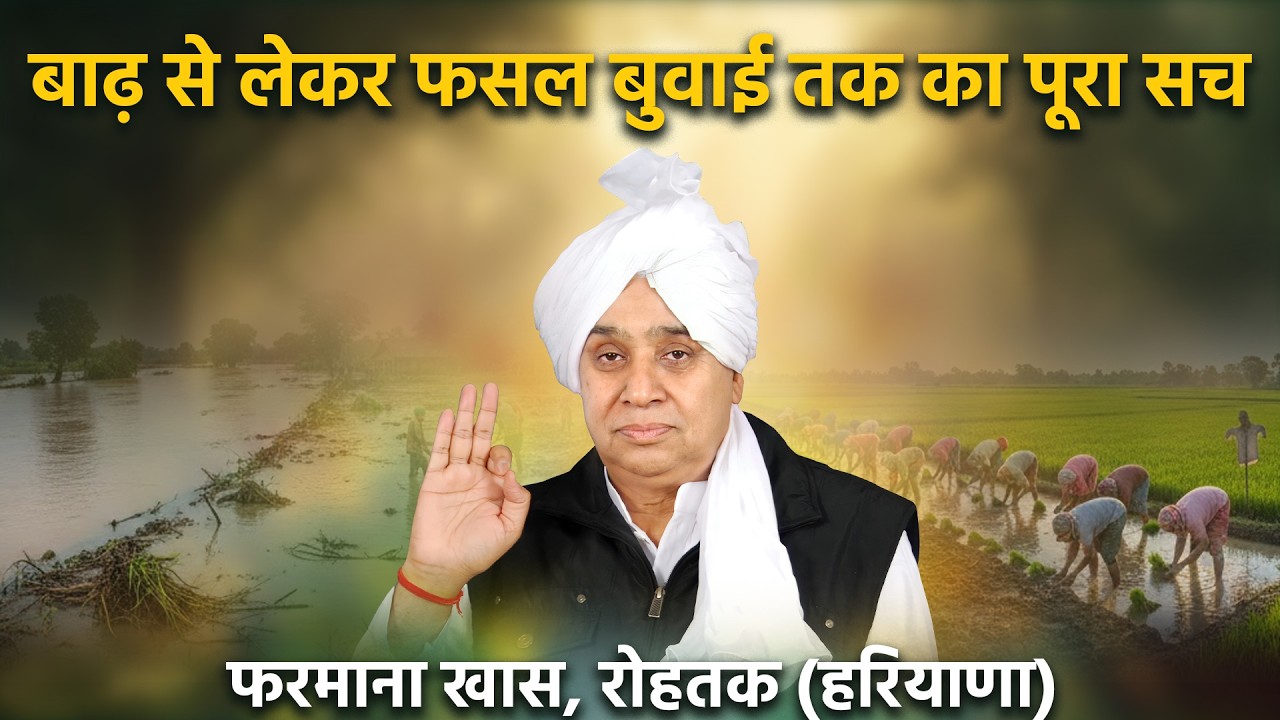 देखिए फरमाना खास, रोहतक (हरियाणा) में बर्बादी के बाद कैसे लहलहाई गेहूं की फसल। SA News Channel
