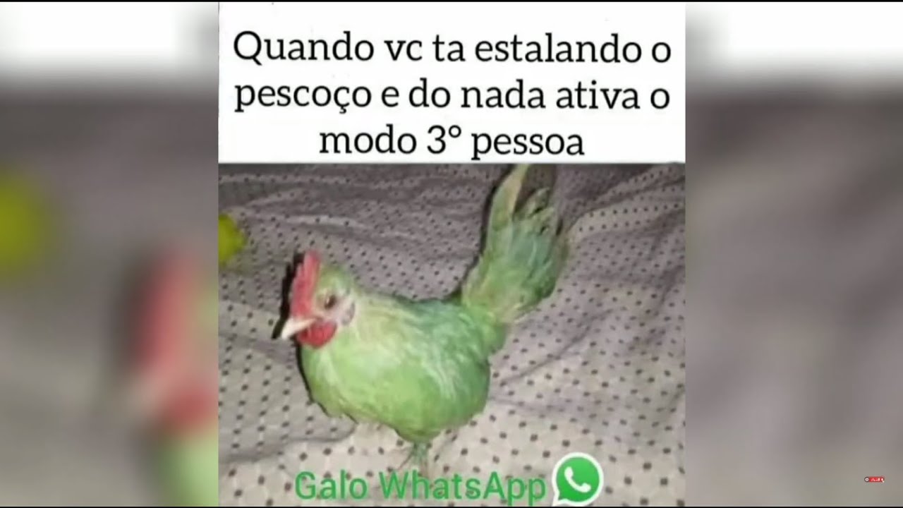 COMPILADO DE SHITPOST E MEMES DE QUALIDADE #218