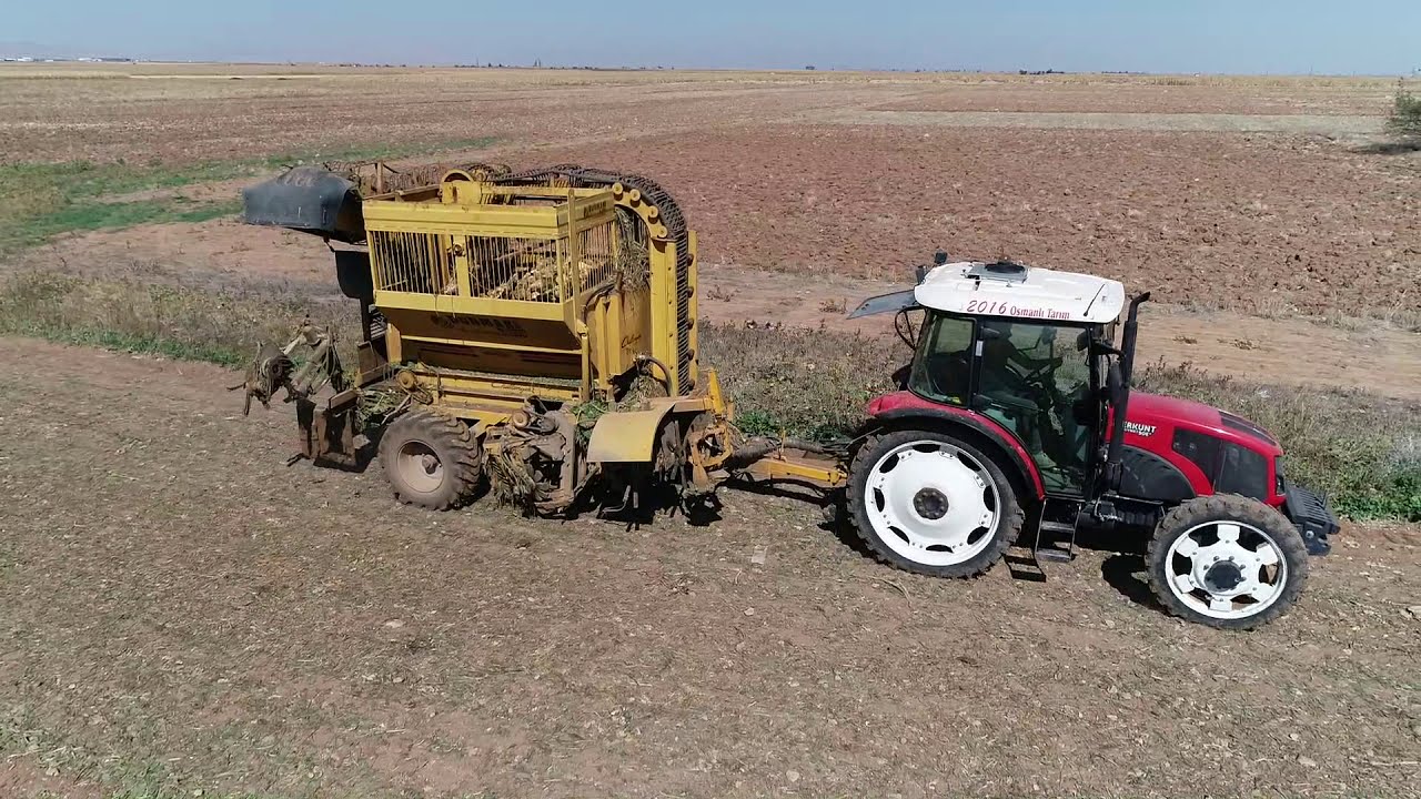 PANCAR SÖKÜMÜ ERKUNT & DÜNMAK