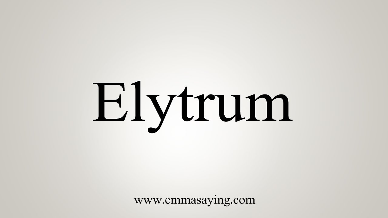 How To Say Elytrum