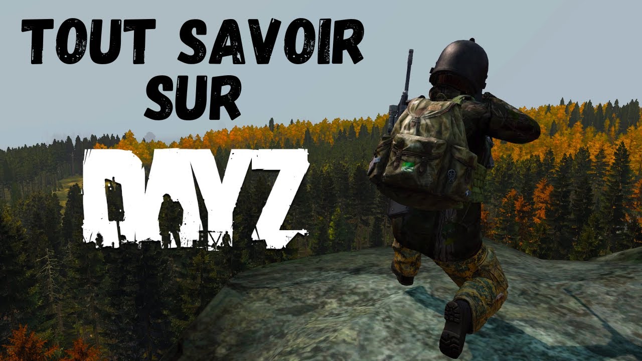 TOUT SAVOIR SUR DAYZ POUR BIEN DEBUTER
