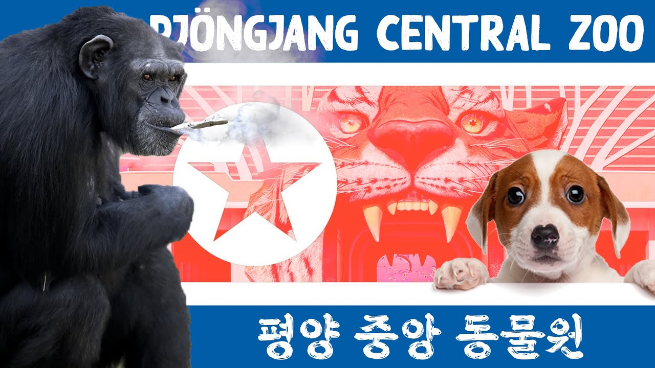 Korea Central Zoo (Pjöngjang) | Nordkoreas seltsamer Staatszoo
