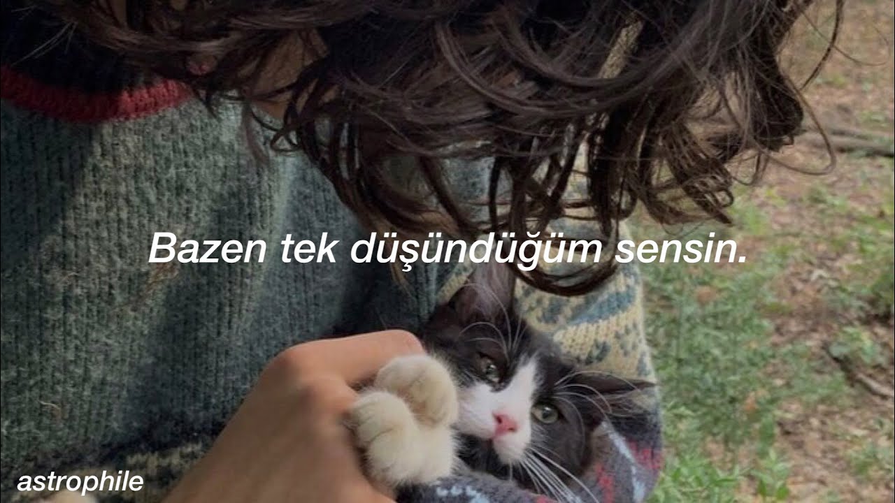 Glass Animals - Heat Waves (Türkçe Çeviri)