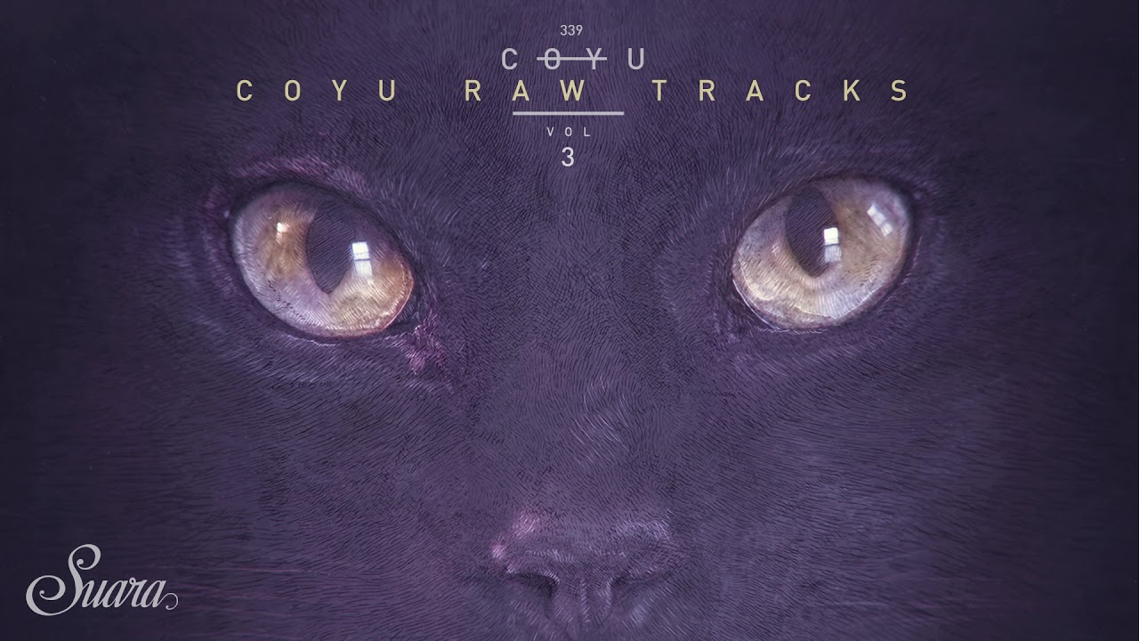 Coyu - Running In Circles (Coyu Raw Mix) [Suara]