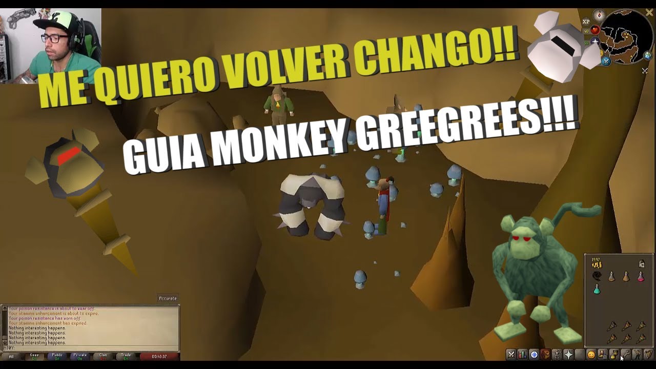 [OSRS] GUIA - CONSIGUE LOS MONKEY GREEGREES - (ESPAÑOL)