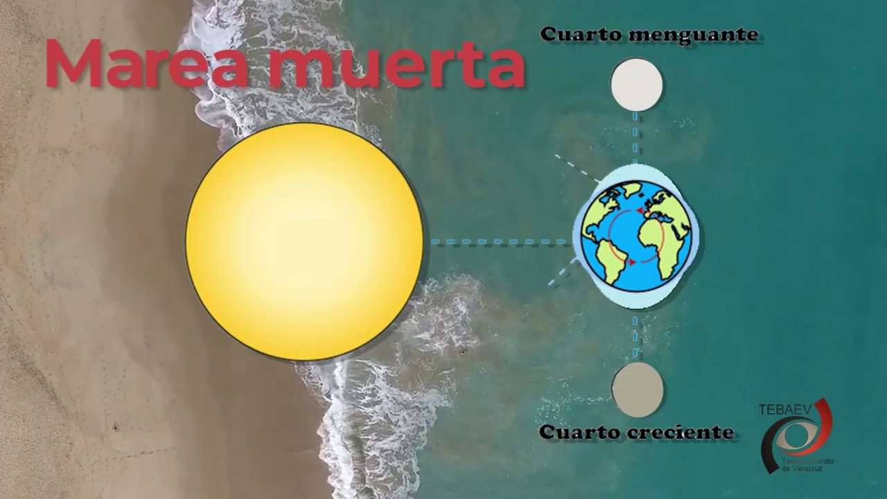 La Hidr&oacute;sfera.