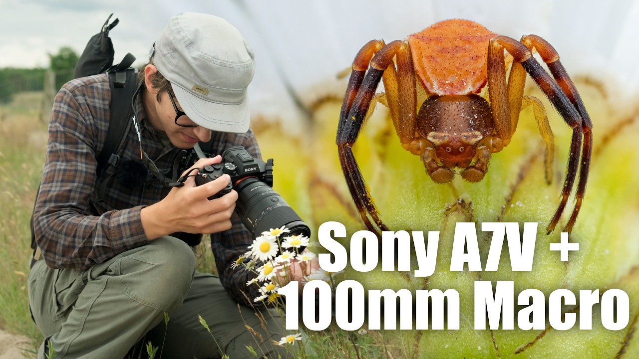Trying a New System for Macro Photography - Sony A7V and 100mm Macro
