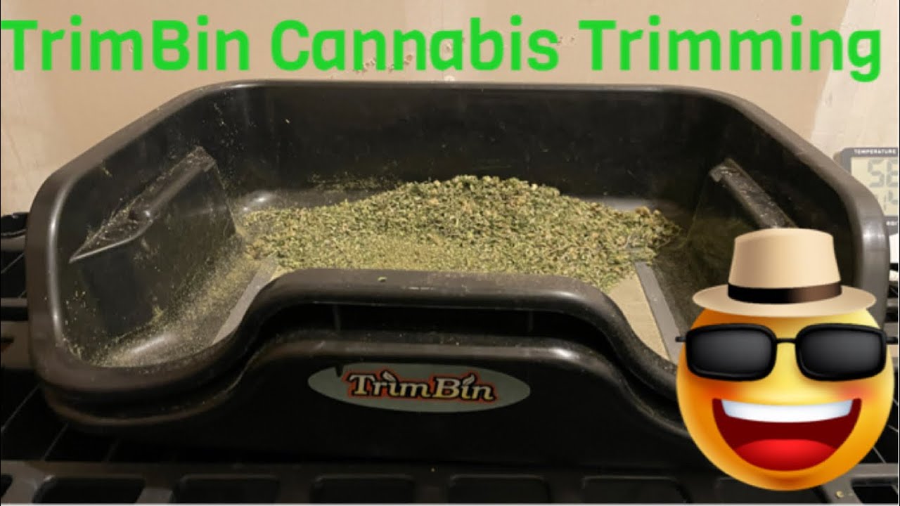 TRIM BIN HARVEST TOOL... HARVEST MORE//Tikiman Pirate Milk