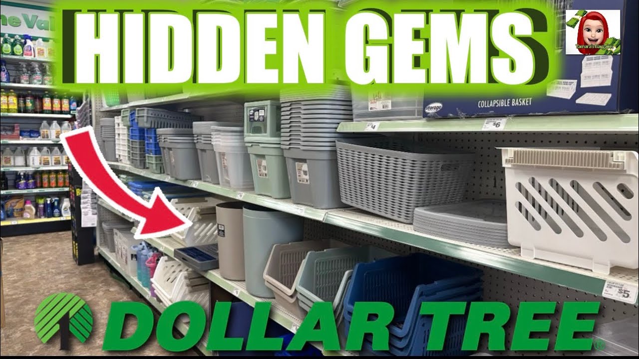 DOLLAR TREE🚨SHOCKING HIDDEN GEMS YOU DON&rsquo;T WANT TO MISS‼️ #dollartree #new #shopping 