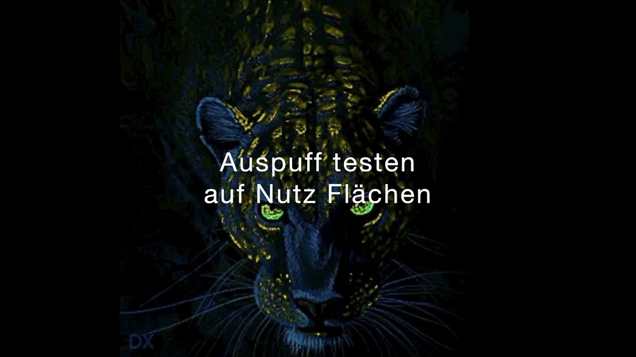 Mute Kid - Back To The Roots (Lyric Video)