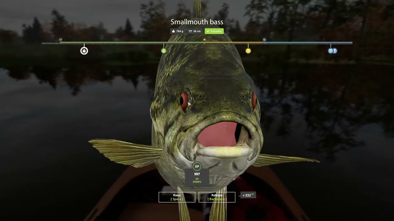 RF4 Elk Lake | Calm Fishing Session (No Commentary)