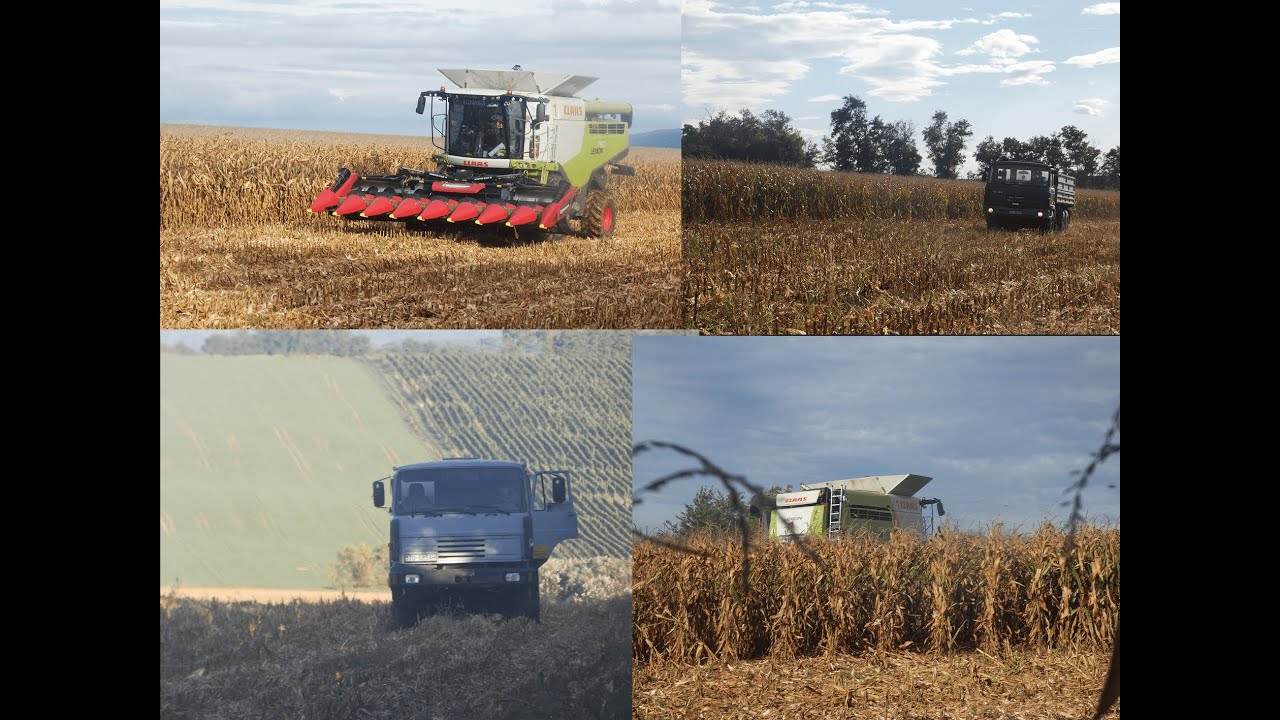 Claas Lexion 760/Zber Kukurice na zrno🌽/PD Veľke Ripňany//CORN SK 2021