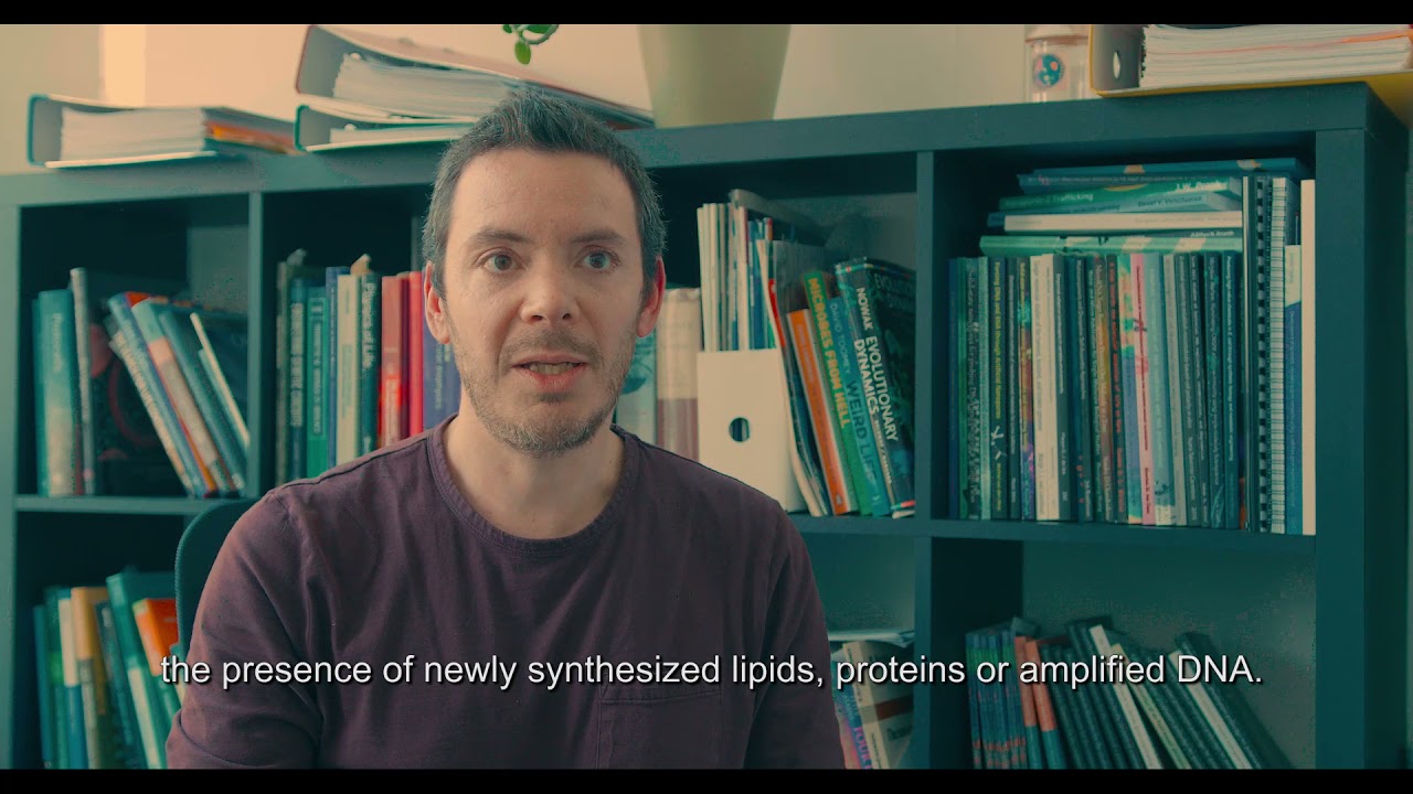 Synthetic Cell Initiative - Christophe Danelon on constructing minimal cells that can evolve