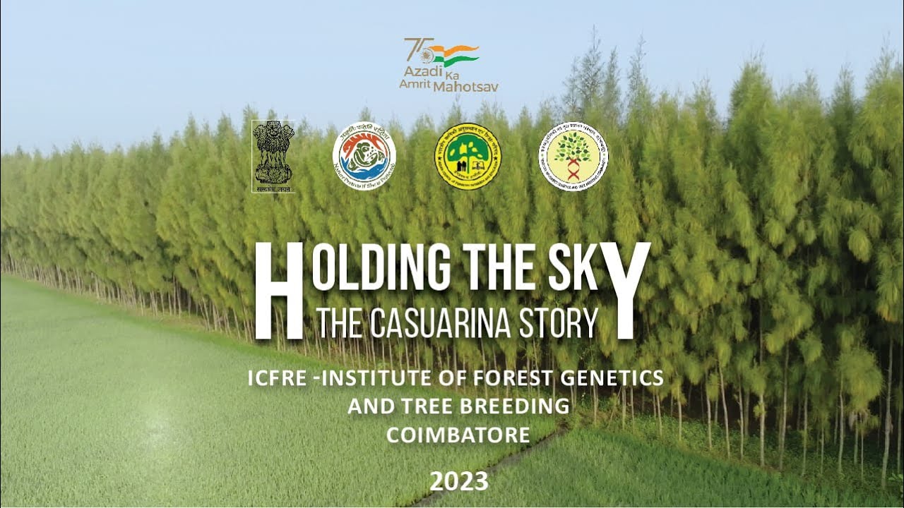 HOLDING THE SKY - THE CASUARINA STORY