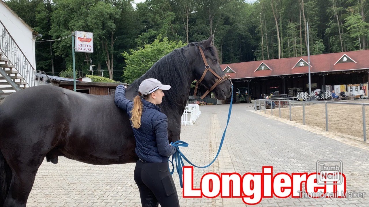 Longieren