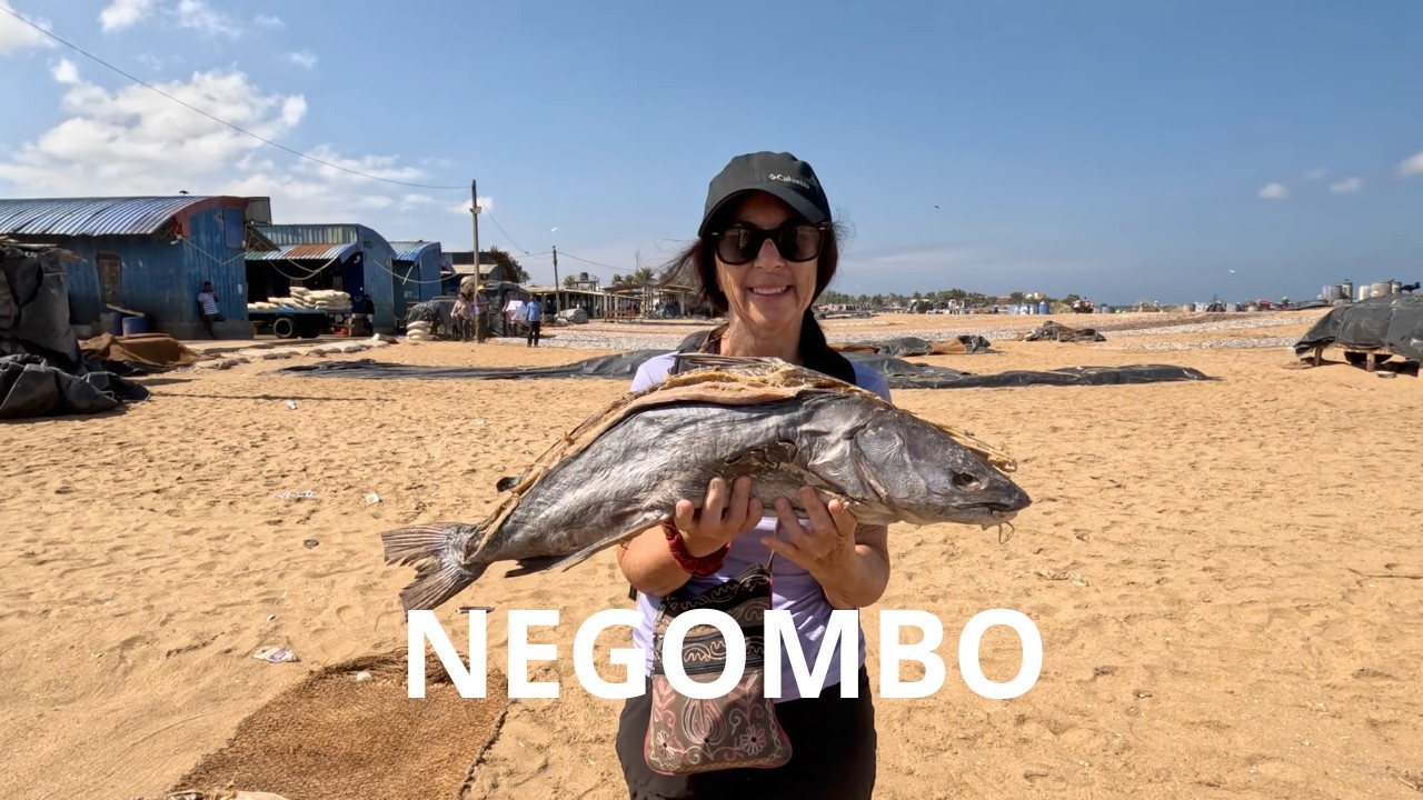 LE SRI LANKA / EN ROUTE POUR / NEGOMBO / Épisode 4