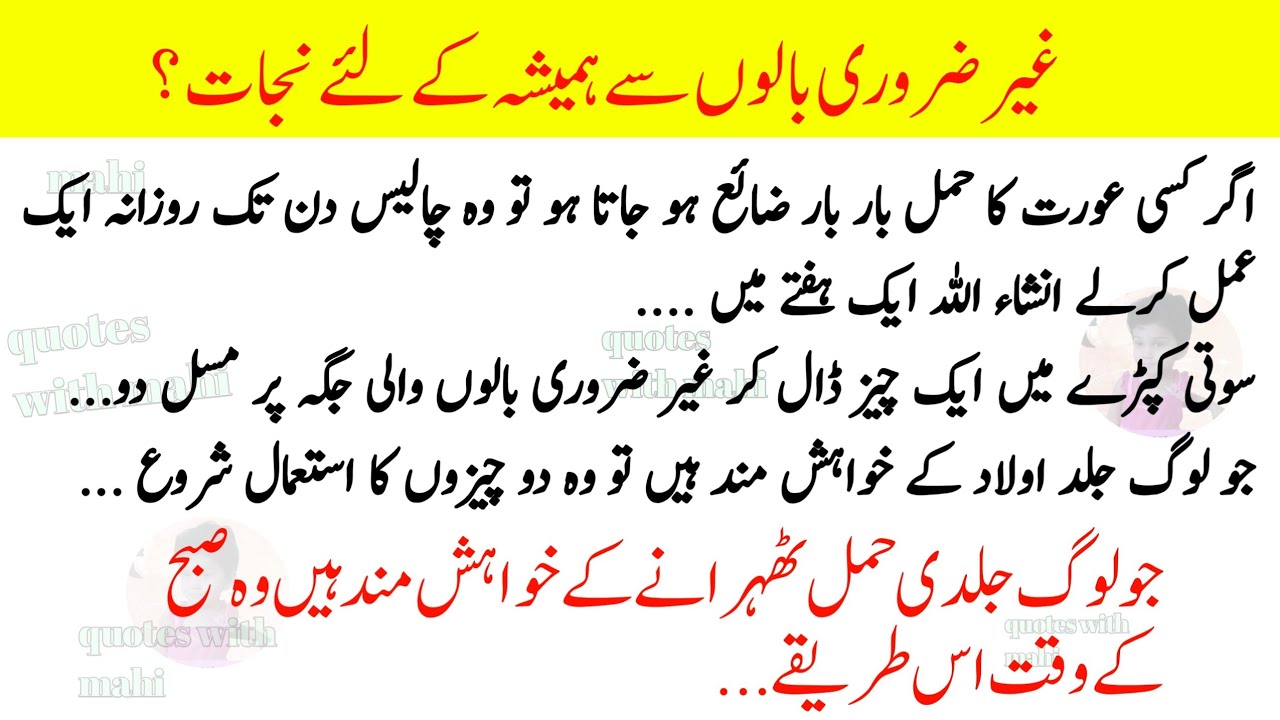 Rumi Quotes Urdu | Hikmat Ki Batain | Motivational Quotes About Life Urdu/Danai Ki Batain
