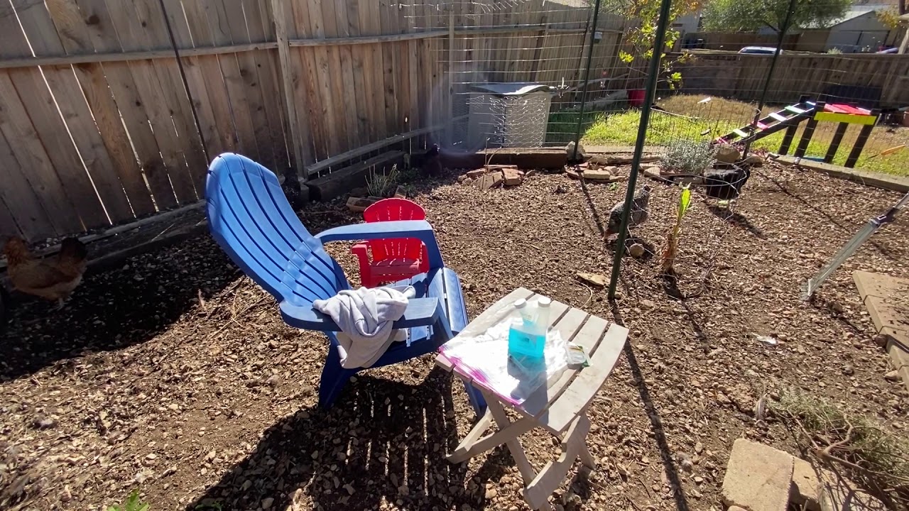 What to Know About Ivermection for Your Backyard Chickens