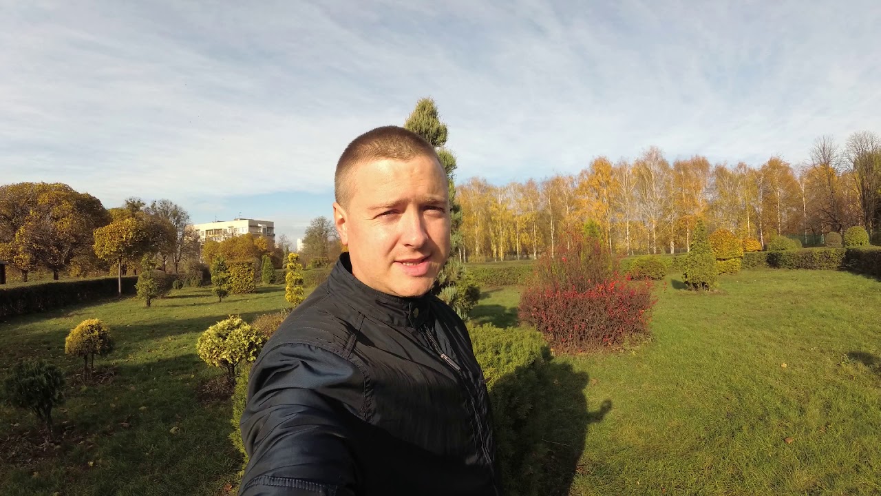 РОСЛИНИ ДЛЯ ЖИВИХ ОГОРОЖ (Граб, Самшит, Бирючина, Тис, Кизильник)