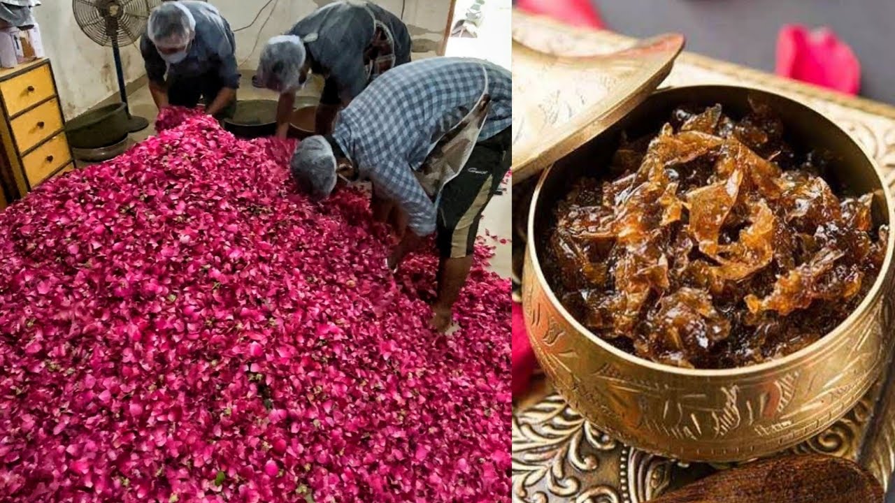 2000Kg Natural Gulkand Making in Gujarat😱😱आयुर्वेद की सबसे tasty खाने की चीज😳😳 Indian Street Food