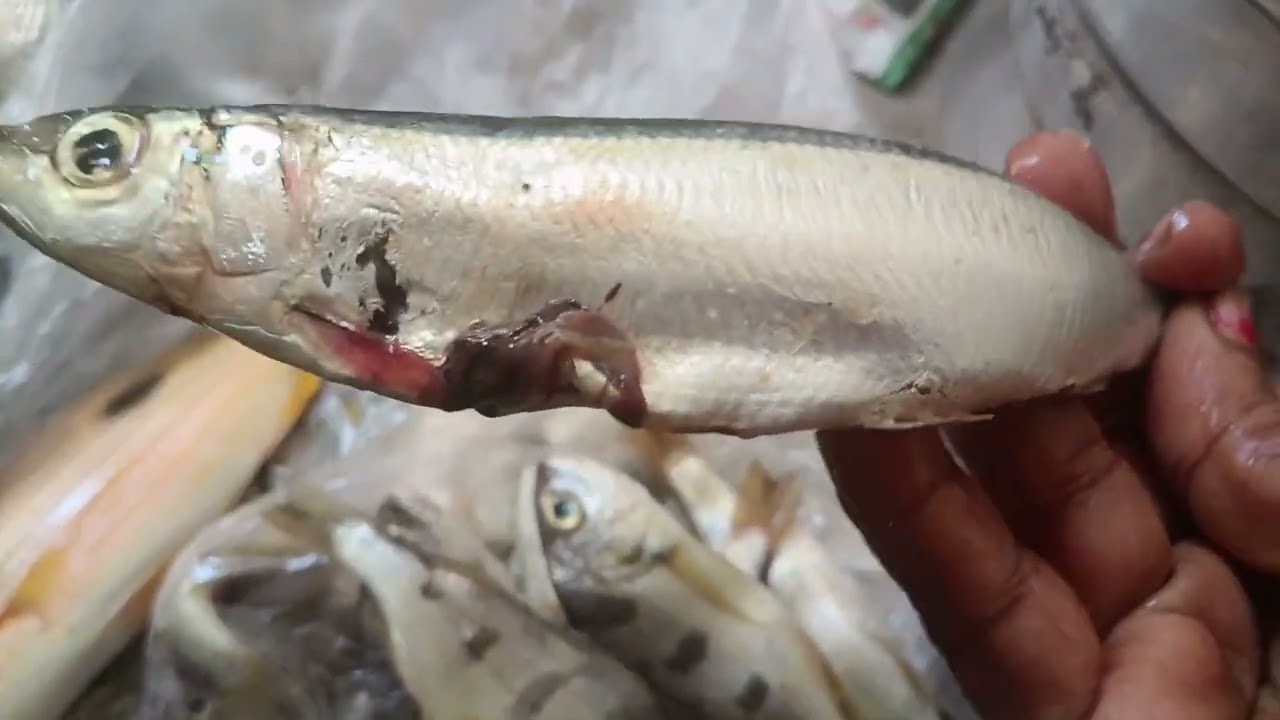 ஹாய் பிரண்ட்ஸ் வாங்க நம்ம வீட்ல மீன் குழம்பு மீன் வறுவல் 🐟🐠 வாங்க சாப்பிடலாம் 🤤