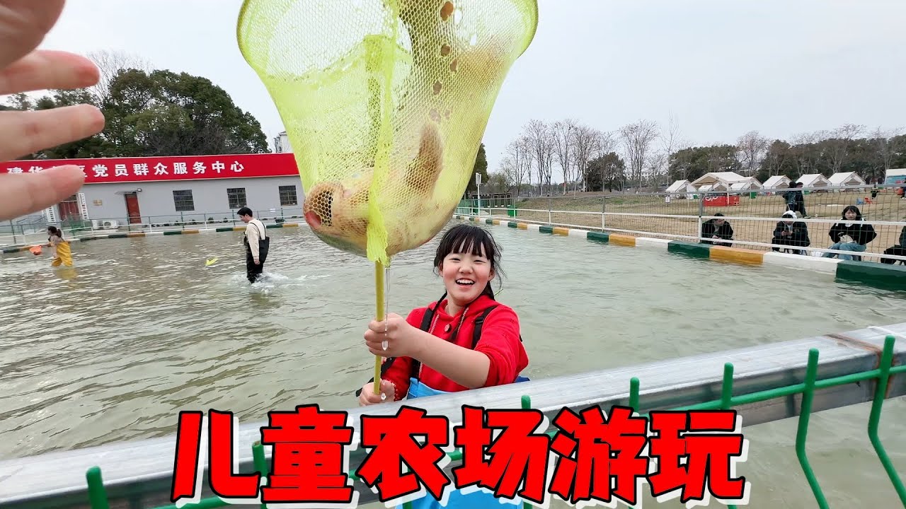 妈妈花49.9带艾米抓鸡捞鱼，一个接一个真过瘾最后还能带回家