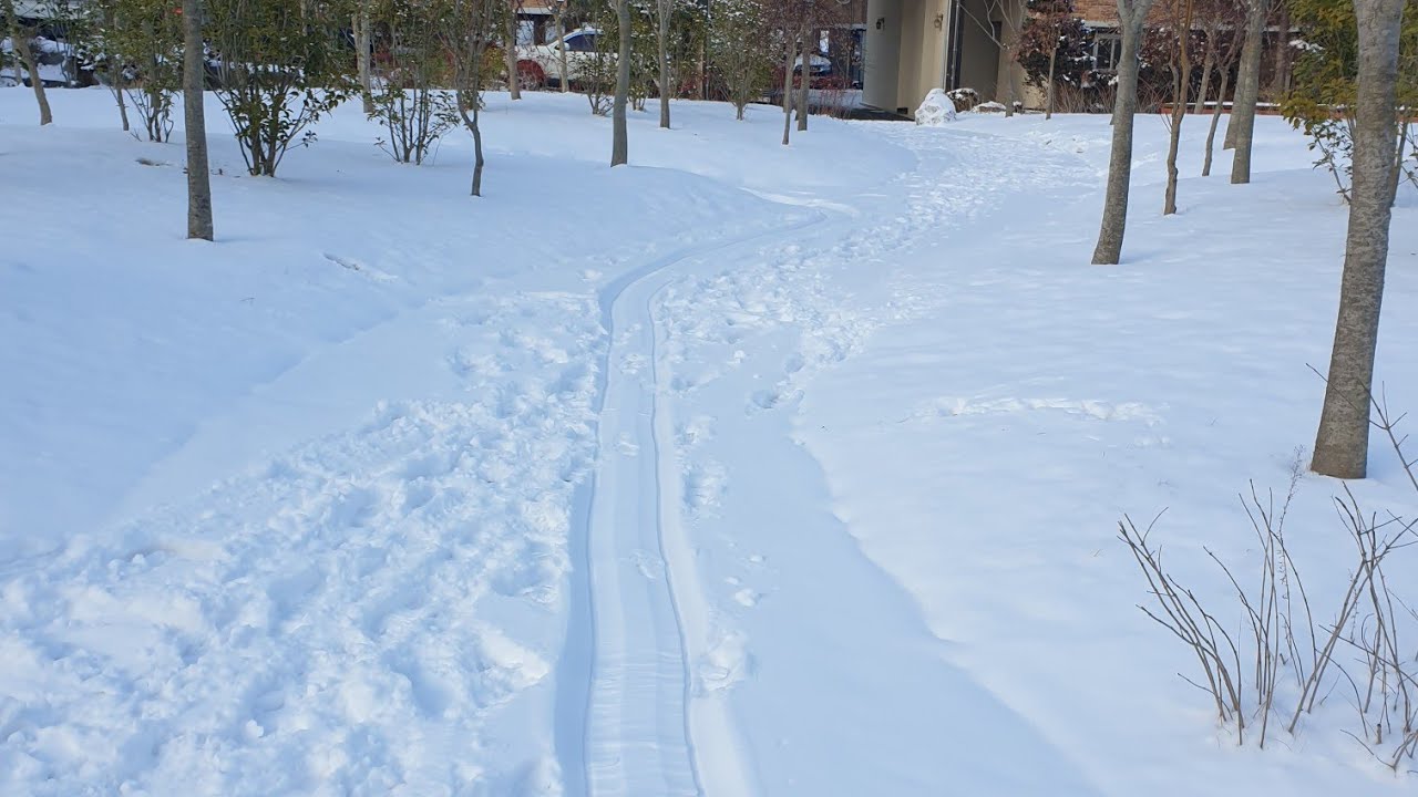 Snowy Day/Tara Maglaro Tayo sa Snow