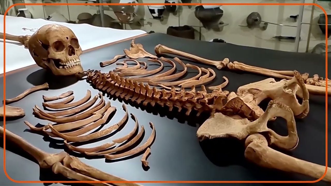 Archeologists unearth secrets of Poland's 'vampire' burials