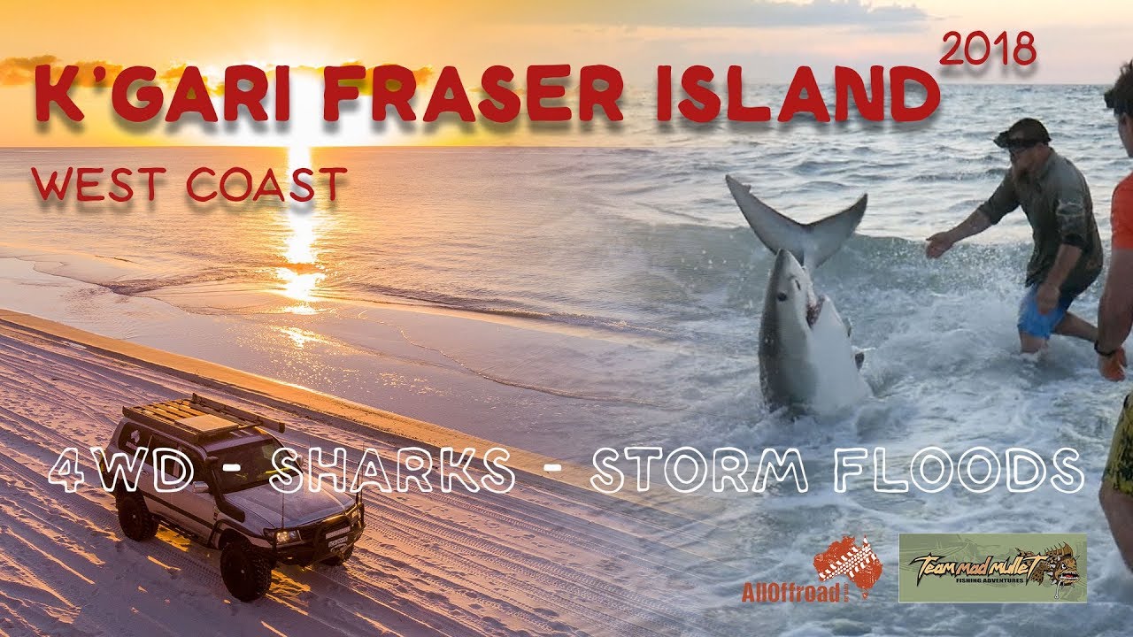 Fraser Island |  Why not to Swimm in the Ocean at Kgari! | EP 1 | ALLOFFROAD#157